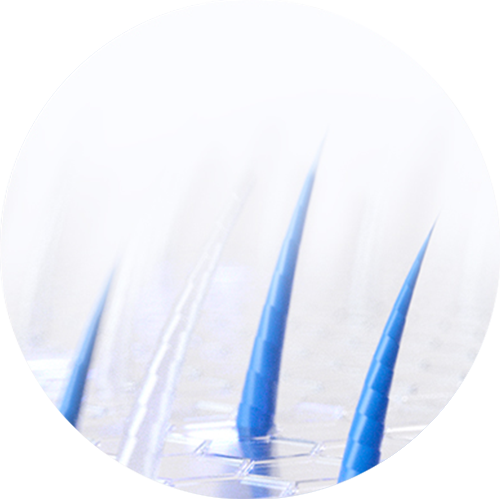 An illustration depicting the regrowth of soft, baby hairs.