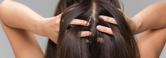 Close up of the back of a woman's head with long brown hair with her hands in her hair.