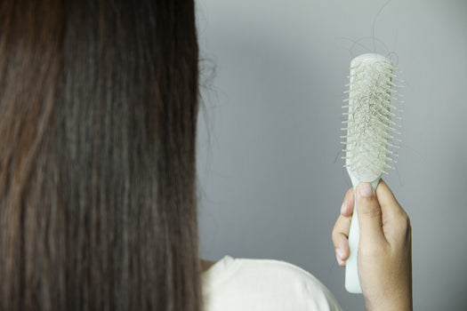 The back of a head of a woman with long brown hair as she gazes at her hair brush containing hair that has fallen out. 
