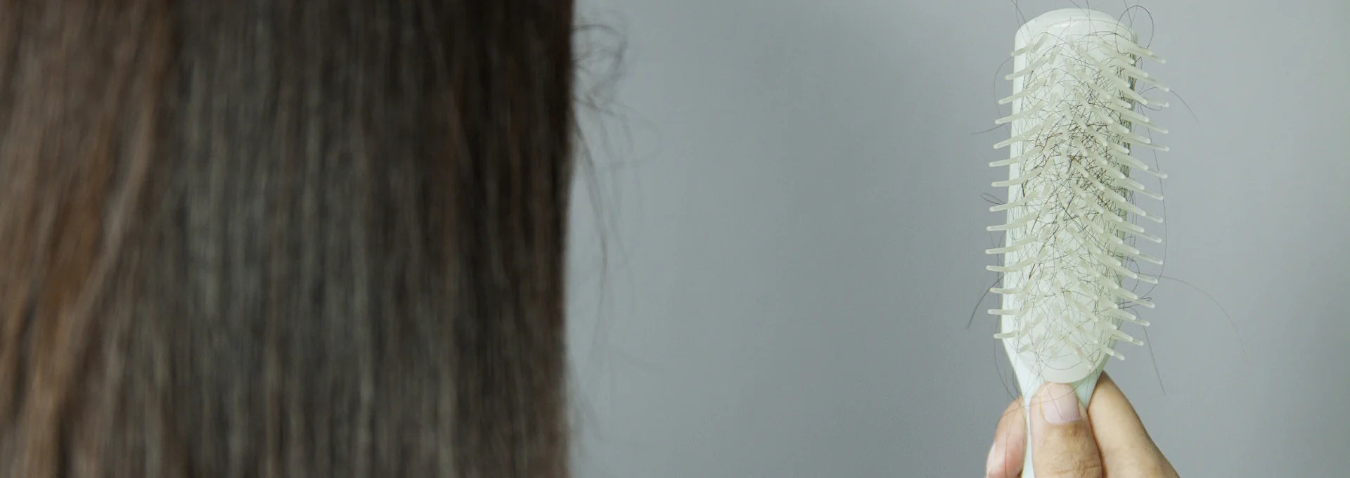 Close up shot of the back of a head of a woman with long brown hair as she gazes into her hair brush showing hair loss.